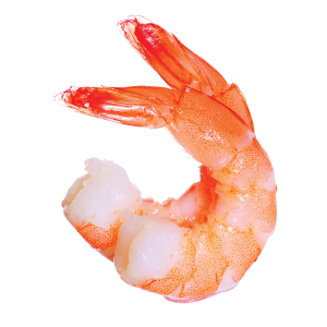 Cooked Peeled & Deveined Tail on Shrimp-image