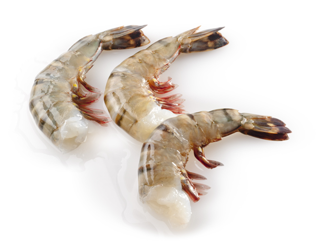 Headless Shell On Black Tiger Shrimp-image