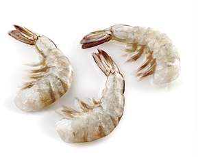 Headless Shell On Easy Peel Shrimp-image